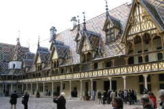 Burgund 17