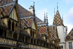 Burgund 19