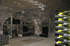 Burgund 37