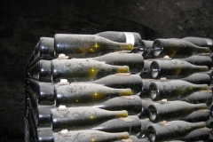 Burgund 41