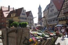 Dinksbühl 2011 9
