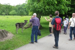 Ludwigsburg-Tour 5