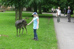 Ludwigsburg-Tour 7