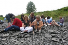 Fossiliensuche