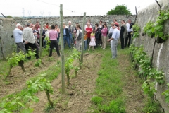 Partnerschaftstreffen 2008 26