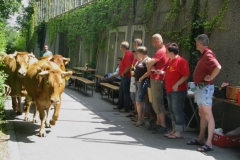 Partnerschaftstreffen 2010 11
