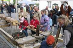 Tag des Schwäbischen Waldes 2008 17
