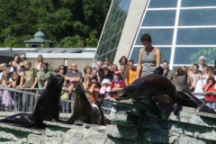 Ferienprogramm 35