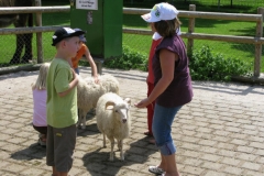 Ferienprogramm 29